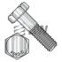 Hex Cap Bolts